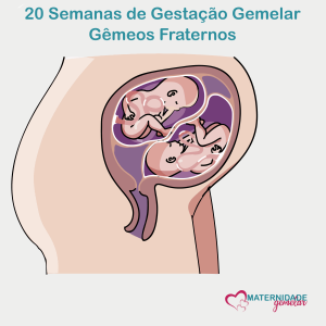 gestação gemelar semana a semana - 20 semanas