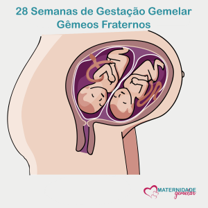 gestação gemelar - 28 semanas